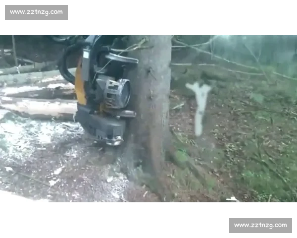 国外高效伐木:技术如何做到省时省力? 国外高效伐木:技术如何做到省时省力?